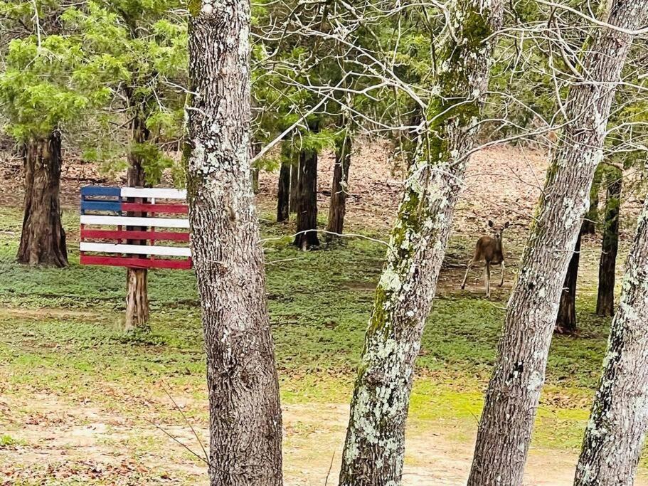 Bastrop Tiny Disc Golf Retreat Villa Buitenkant foto